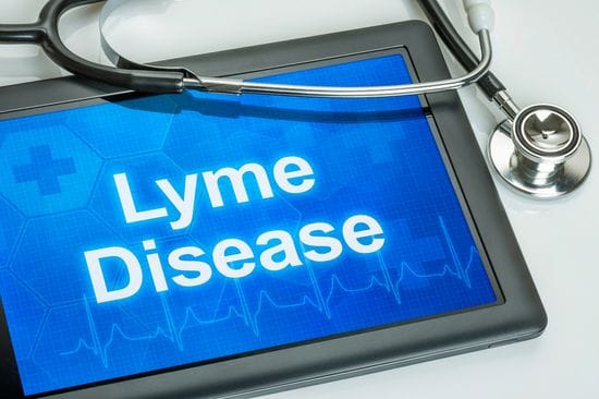 What you need to know about Lyme disease